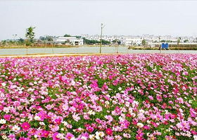 金穗生态园