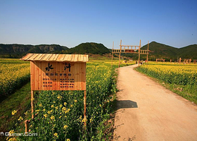 三坑油菜花稻草人乡村主题公园
