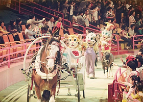 马戏小丑嘉年华（合肥站）