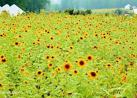 春雨园区水上乐园