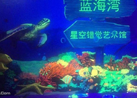 蓝海湾星空错觉博览艺术馆