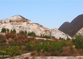 化石小猎人活动基地