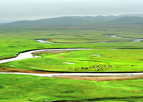 杜尔伯特大草原