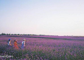 爱上草原露营地