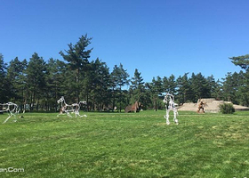 长白山美人松雕塑公园