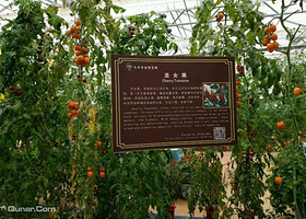 九丰科技生态园