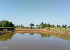 阿勒腾浩特牧家乐