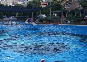 后湖世纪家园游泳馆