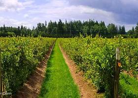 万家欢生态庄园