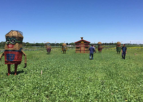 花田草海薰衣草庄园
