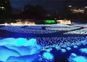 玫瑰花海灯光节