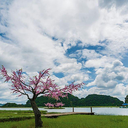 菜花箐苗族生态旅游村