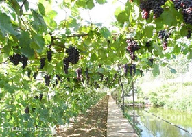 鞍山千山自然绿色农业生态园