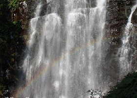 满月圆森林游乐园