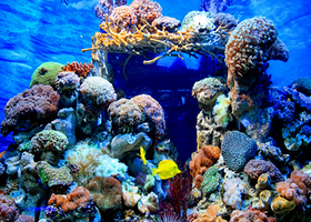 海马海洋奇幻馆