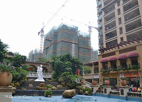 四季东城(阳氏)甘蔗园