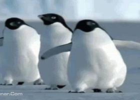 兴城国际海洋嘉年华