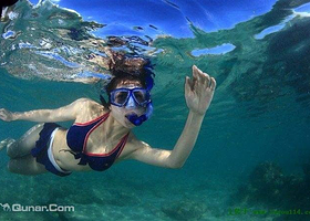 破浪岛潜水体验