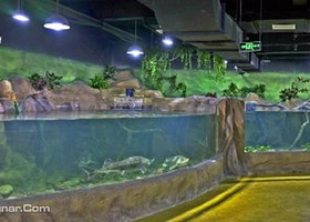 嘉丰乐奥海洋公园