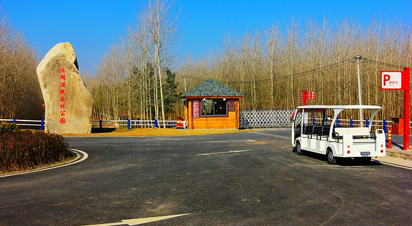 合肥滨湖森林公园