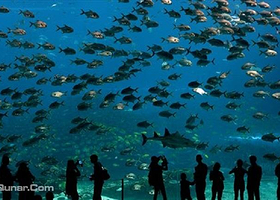 ILLA Fantasia水上世界