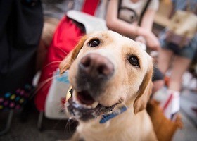 南沙金花荟宠领王国