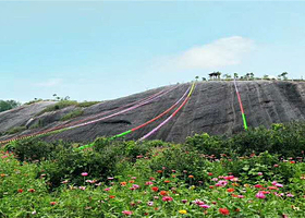 石牛寨花海