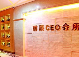 丽辰CEO会所