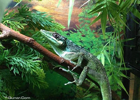 元泰迪熊孩子萌宠乐园