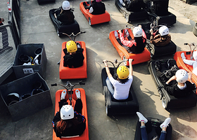 TOP LUGE 桃坡新西兰滑板车