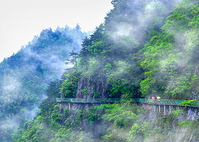 灵江源森林公园