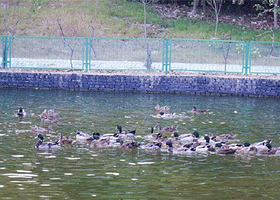 一涧圩生态体验园