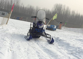 盛泰名人花园冰雪嘉年华