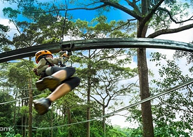 丛林之光丛林飞跃