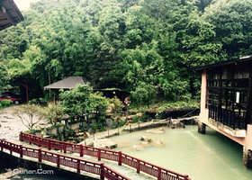 南昆山云天海原始森林度假村