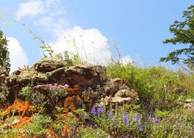 杨树沟河谷森林草原旅游景区