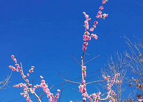 将军岭满汉风情园