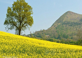 野渡山野艺术庄园