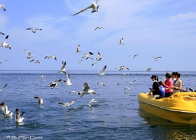 豪铂海尚帆船俱乐部