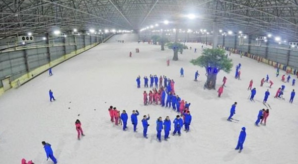 三只熊冰雪王国