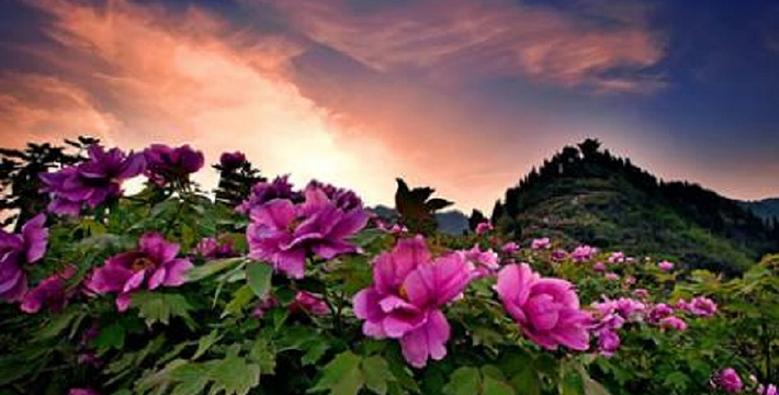 潼南区gdp_潼南区(3)