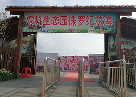 农科生态园侏罗纪花海