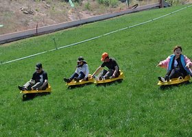 帝景温泉滑草场