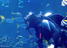 威海蓝色海洋潜水俱乐部