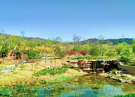 马山慢城景区-竹林花海园
