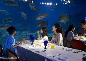 香港海洋公园餐券