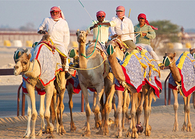 AI Shahaniya骆驼赛跑