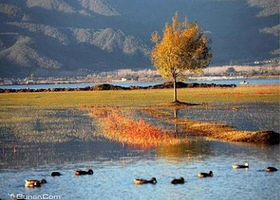 拉市海骥足马场