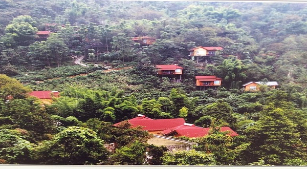 清溪沟茶文化主题公园