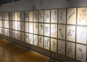 泰山力明艺术宫